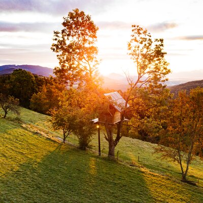 Baumhaus im Sonnenuntergang am Natur Gut Lassen | © Urlaub am Bauernhof Kärnten/ Daniel Gollner