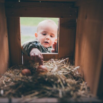 Bub holt Ei aus dem Nest | © Urlaub am Bauernhof / Daniel Gollner