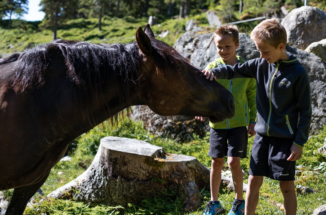 Kinder mit Pferd im Debanttal | © TVB Osttirol/ Assil Hannah