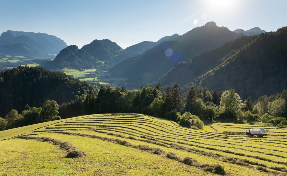 Kaiserwinkl Landschaft Somnmerurlaub | © ©TVB Kaiserwinkl