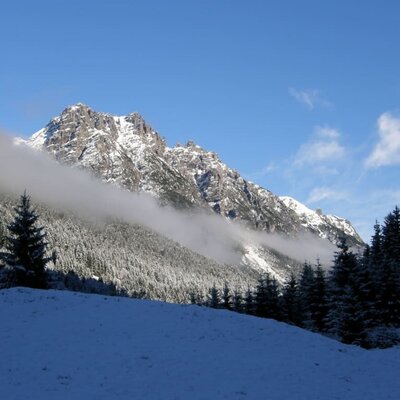 Vivere la natura fino in fondo. Berghof am Schwand, passeggiata sulla neve