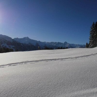 Panorama. Zillertal, Tirolo