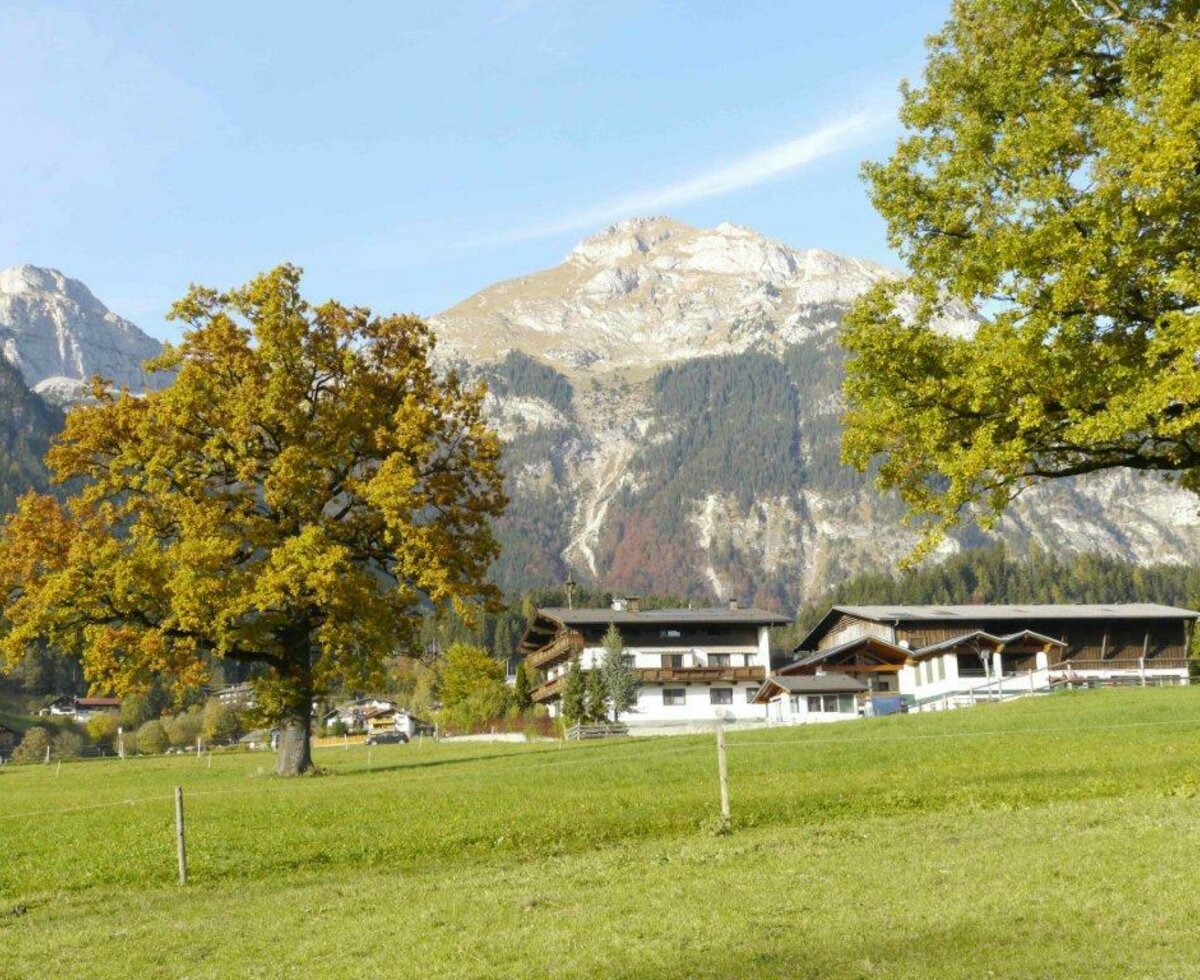 La nostra fattoria in estate